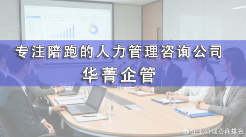 蘇州清潔機(jī)器人公司人力體系搭建咨詢(xún)公司,哪家落地好